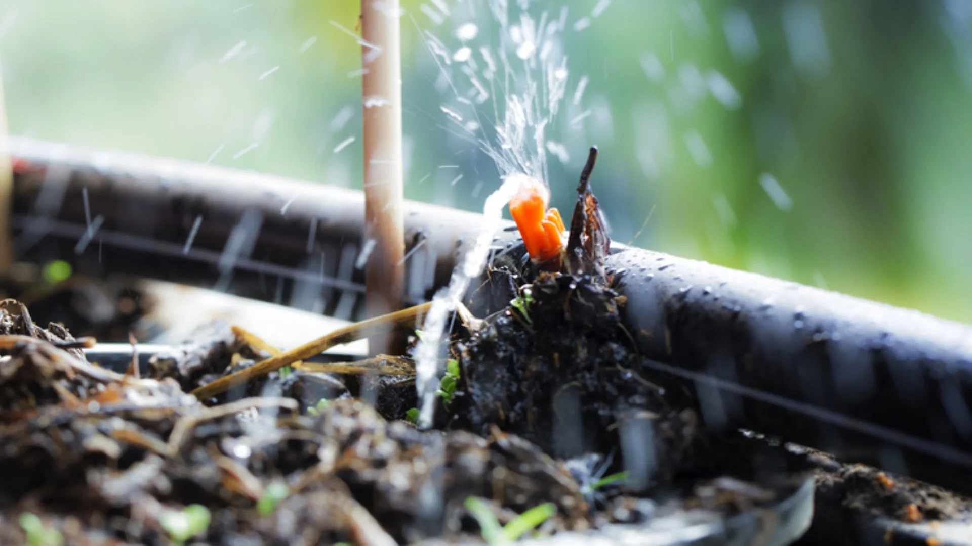 Should You Have Your Drip Irrigation System Winterized?