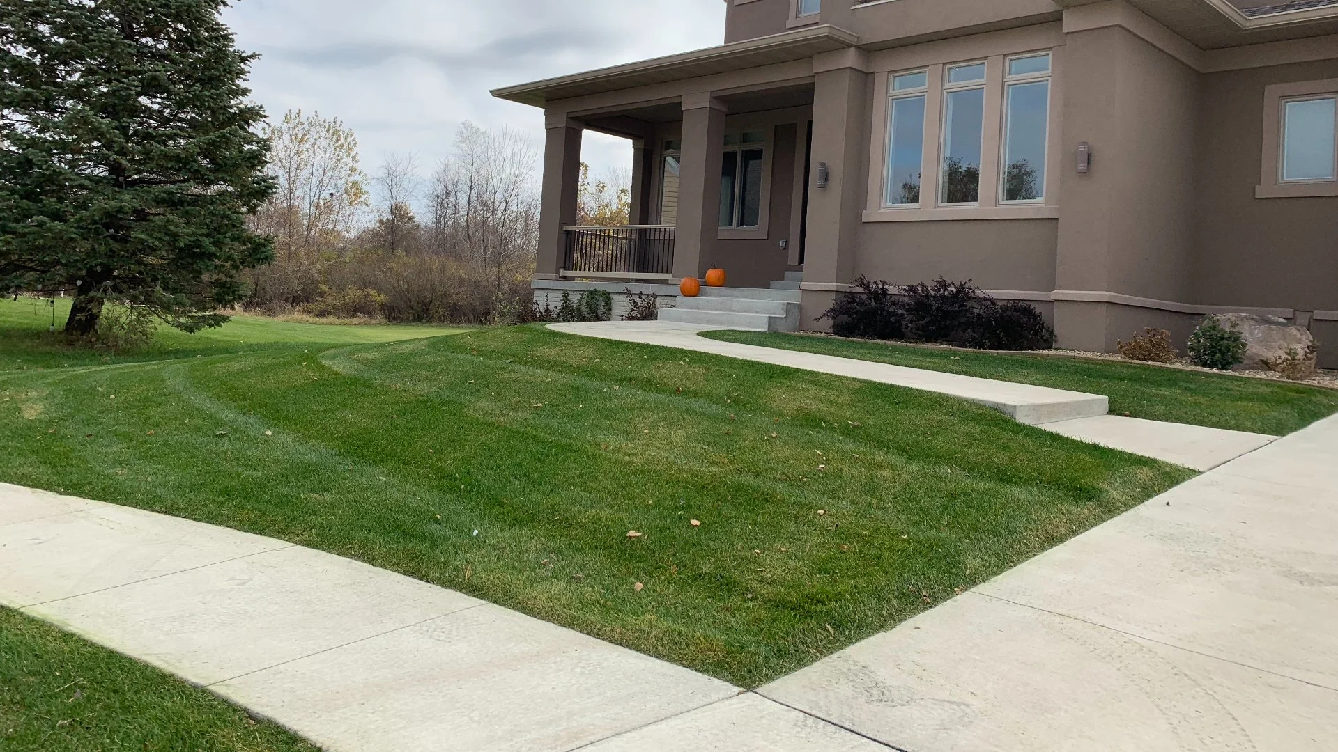 Is Watering Necessary After Lawn Fertilization?
