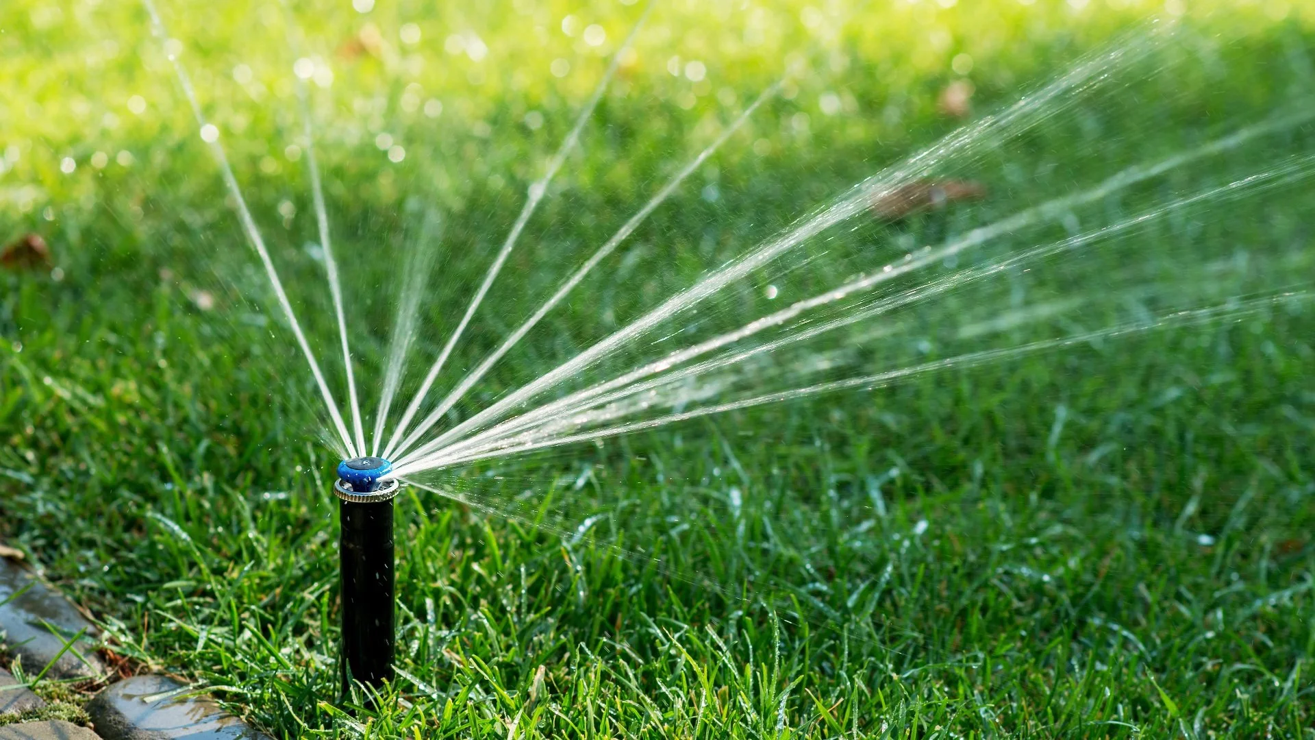 Common Causes of Low Water Pressure in Irrigation Systems