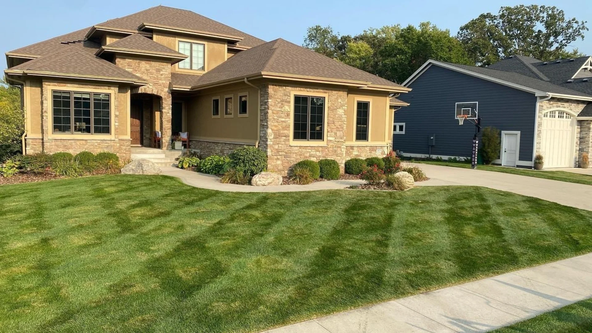 Broadleaf vs Grassy Weeds: How to Tell Them Apart