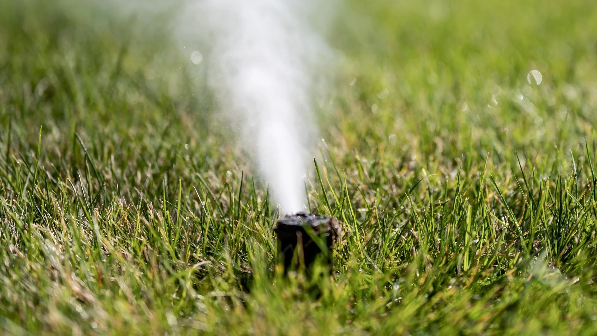Is Hiring Pros Necessary for Winterizing Your Irrigation System?