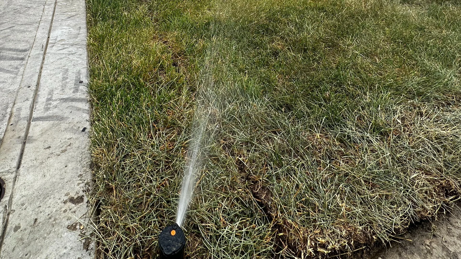 A Leak in Your Irrigation System Can Cause These Issues!