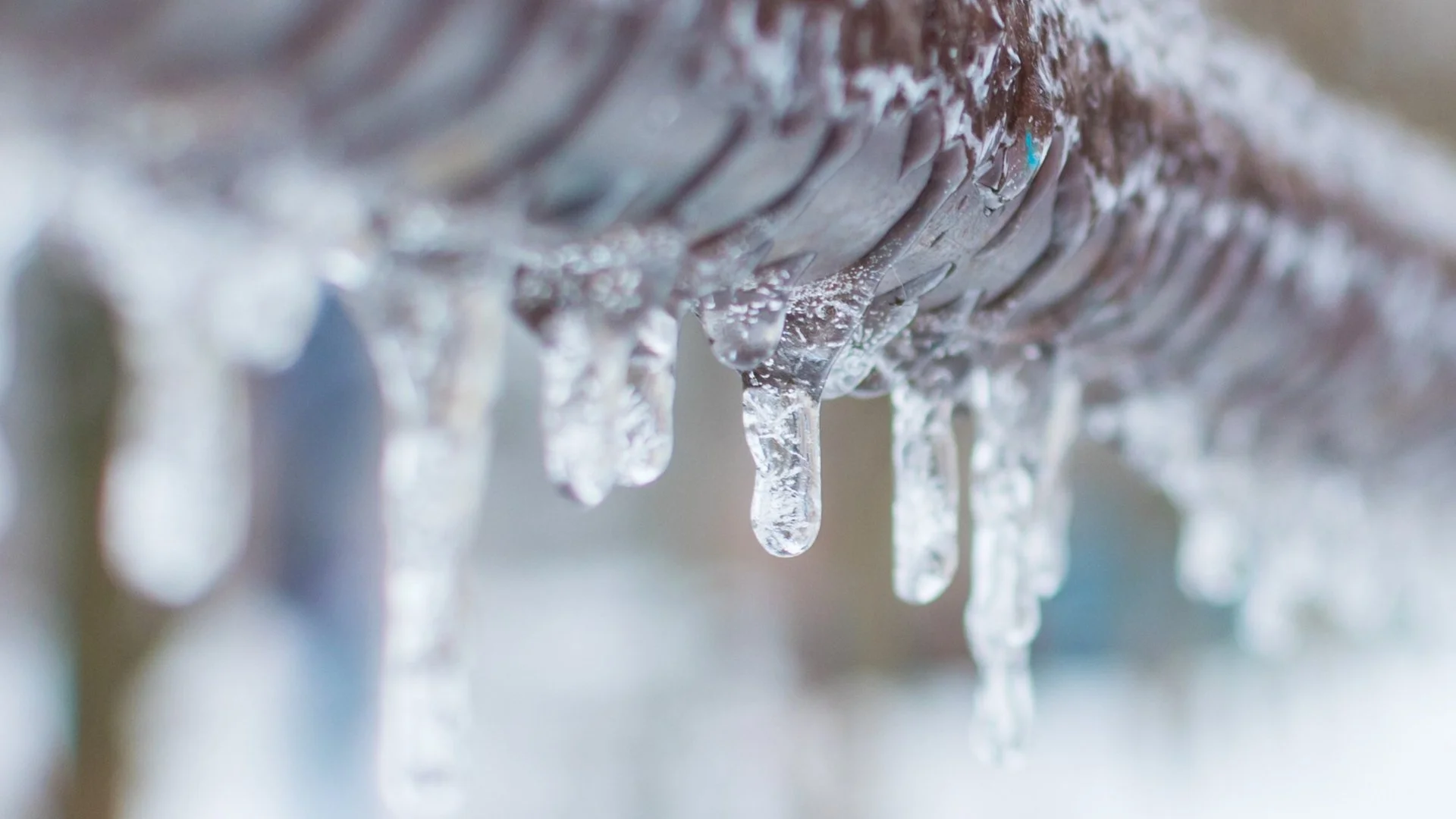 What Can Happen if You Choose Not to Have Your Irrigation System Winterized