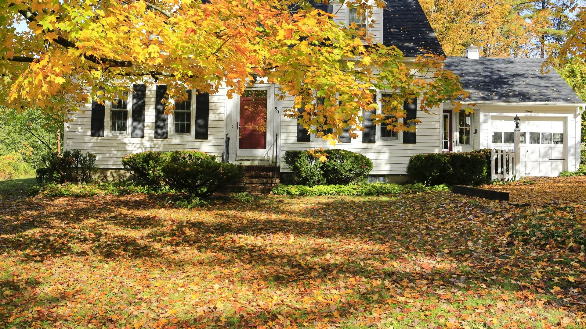 Is Removing Leaves From Your Lawn Bad for Its Health?