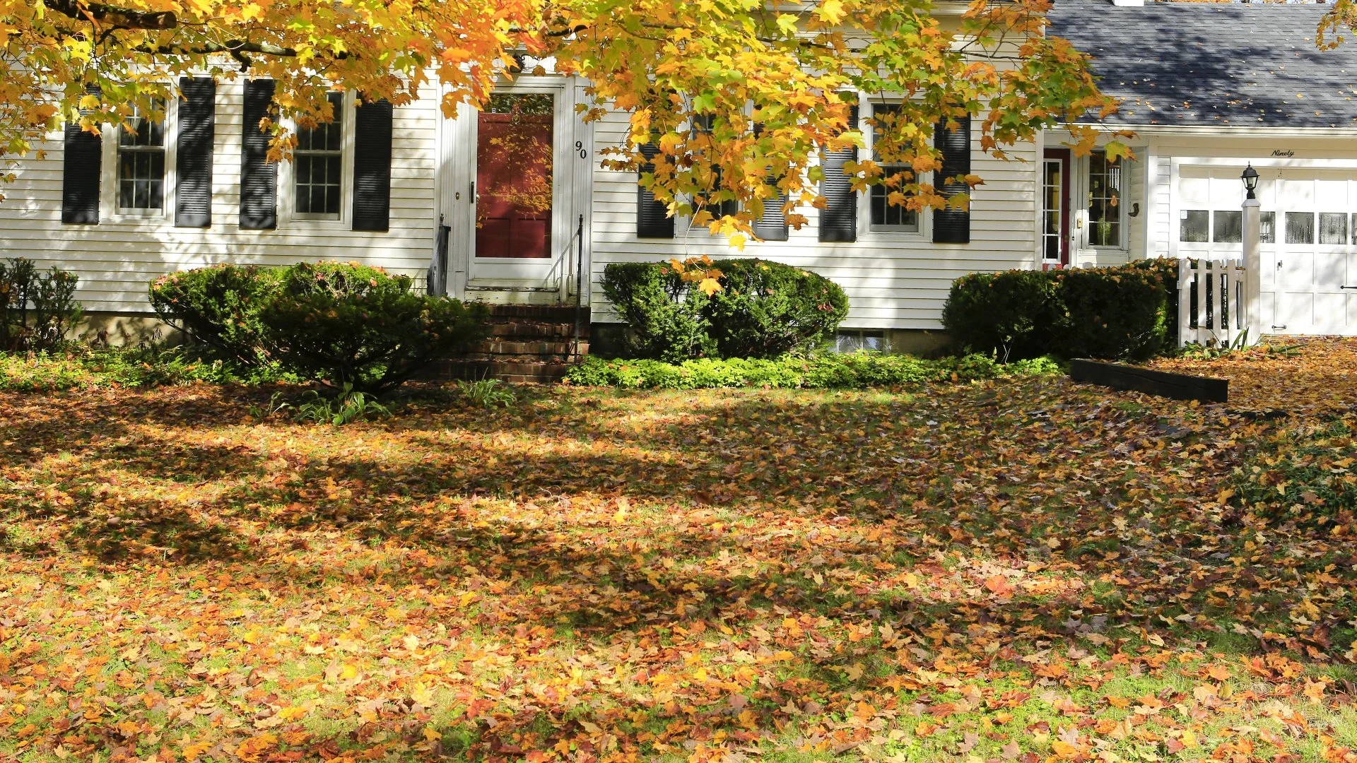 Can You Just Ignore the Leaf Piles on Your Lawn?