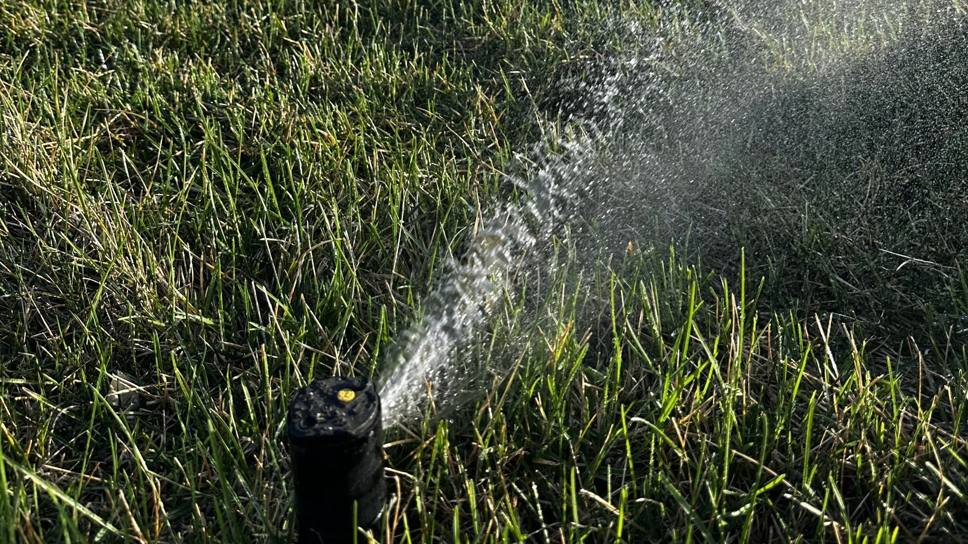 Irrigation Winterization & Startup Services Should Always Be Paired