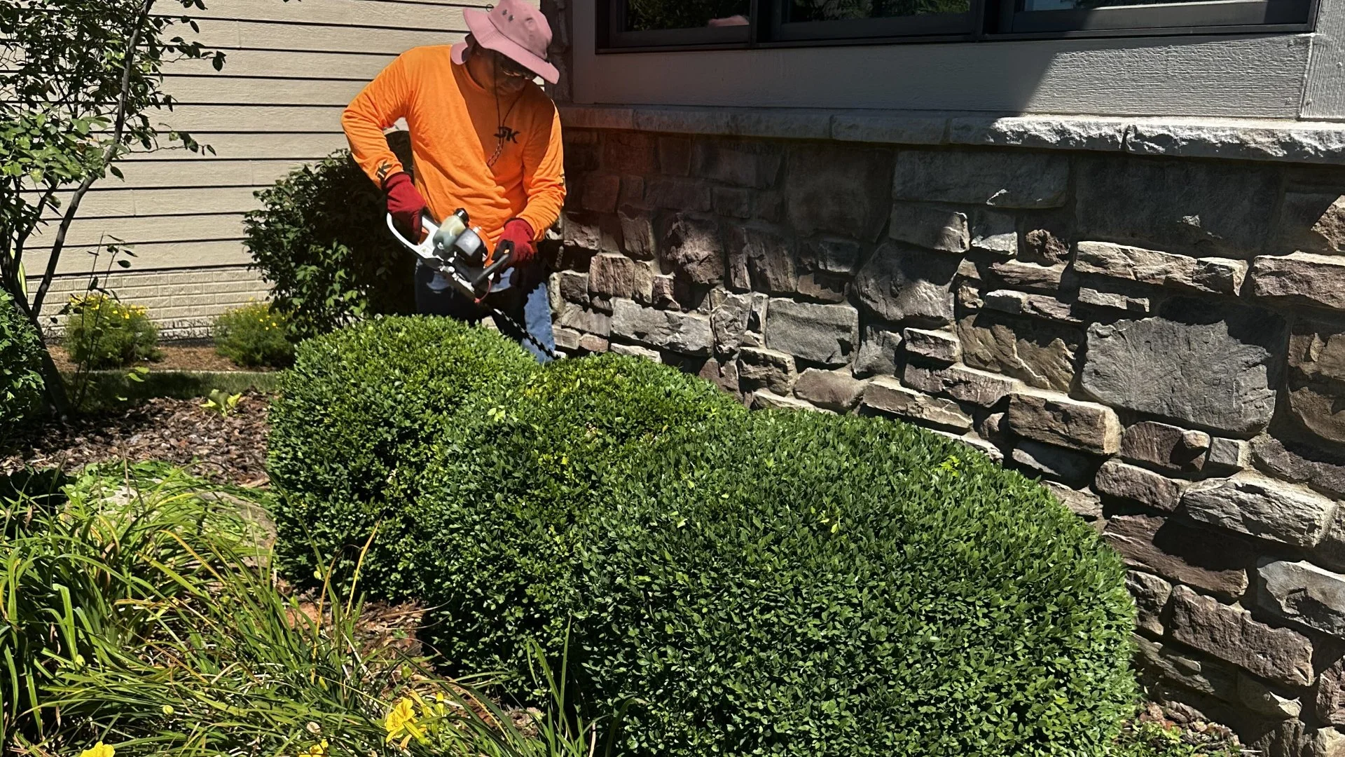 The Role of Trimming & Pruning for Your Plants