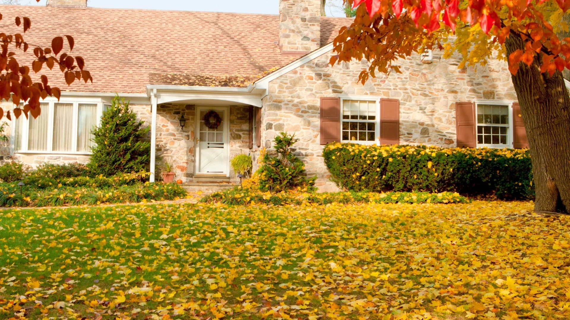 Is Burning Leaves a Good Way to Get Rid of Them?