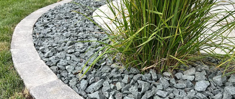 Closeup of a landscape in Waukee, IA, with rocks and ornamental grass.