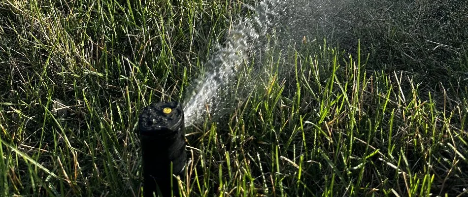 Irrigation sprinkler head watering a lawn in Waukee, IA.