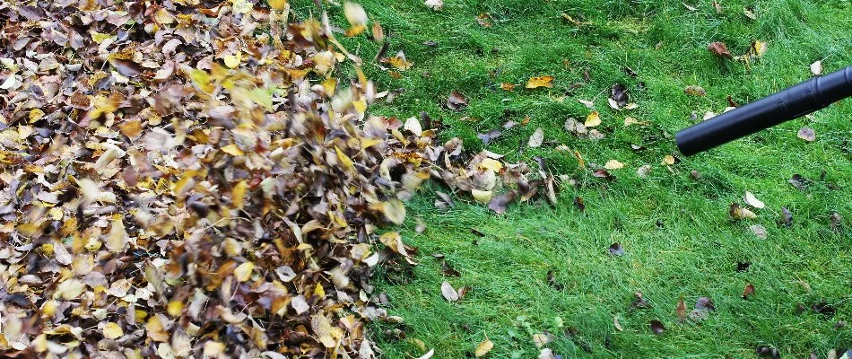 Leaf blower blowing leaves on a lawn in Waukee, IA.