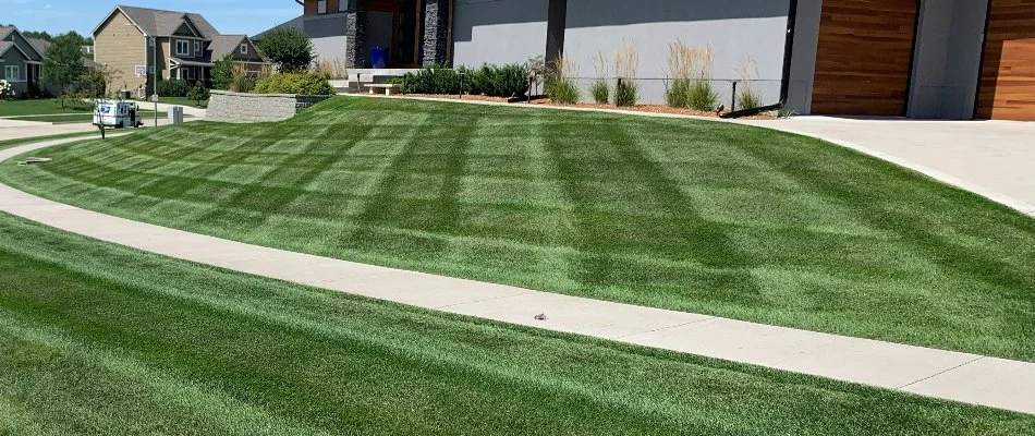 Lush grass in Panora, IA, with mowing stripes.