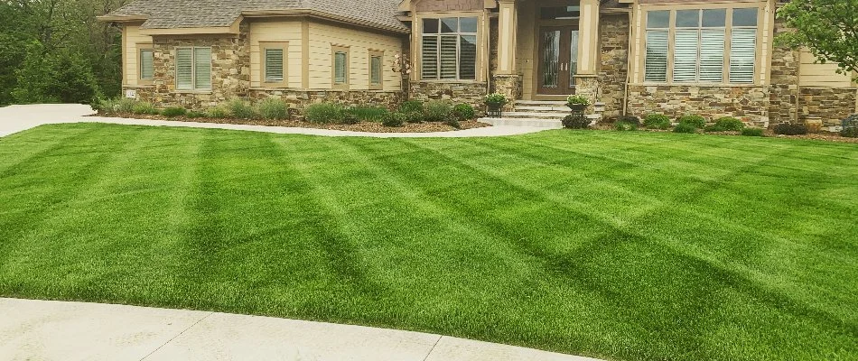 Lush, green lawn with mowing stripes in Waukee, IA.