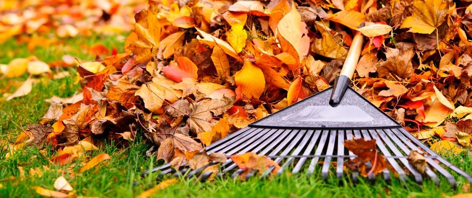 Rake on a pile of leaves in Waukee, IA.