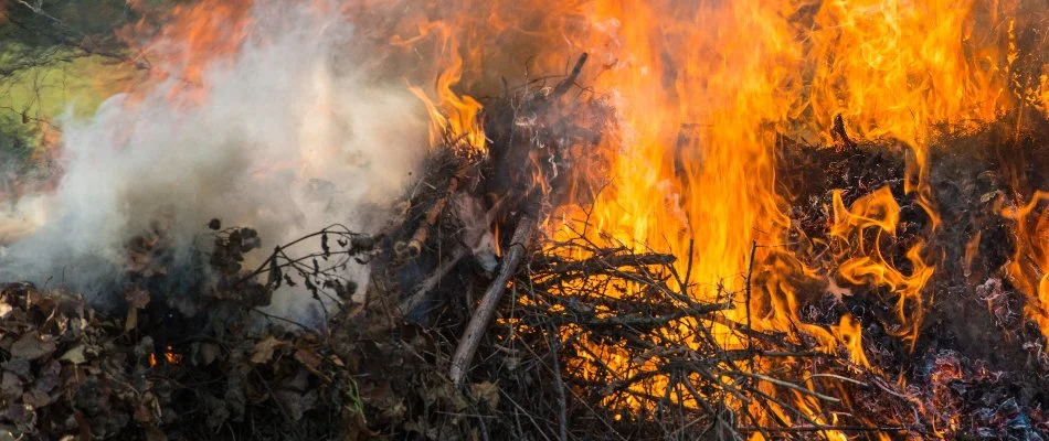 Smoke from burning leaves in Waukee, IA.