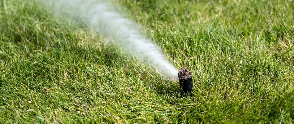 Winterization blow out on a sprinkler head in Waukee, IA.