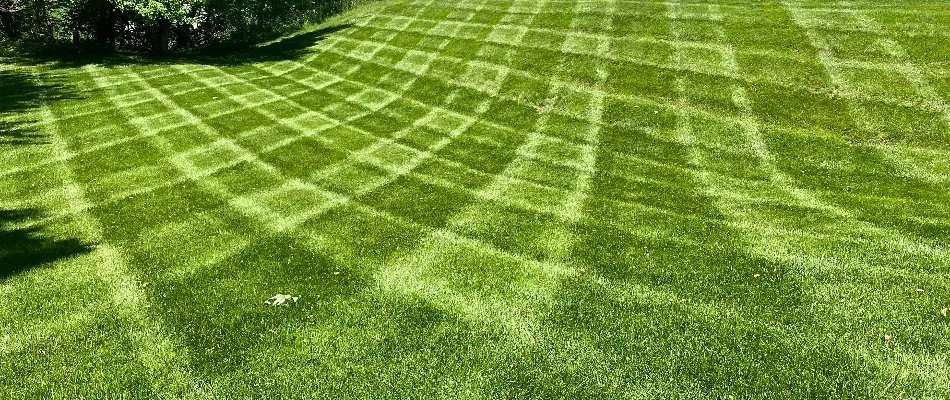 Curved checkerboard lawn mowing pattern.