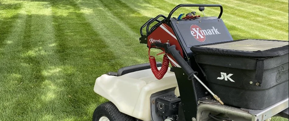 Healthy lush lawn in Granger, IA, with mowing pattern.