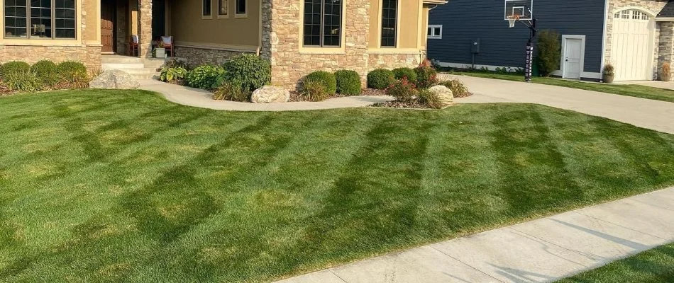 Freshly mowed grass in Dallas Center, IA.