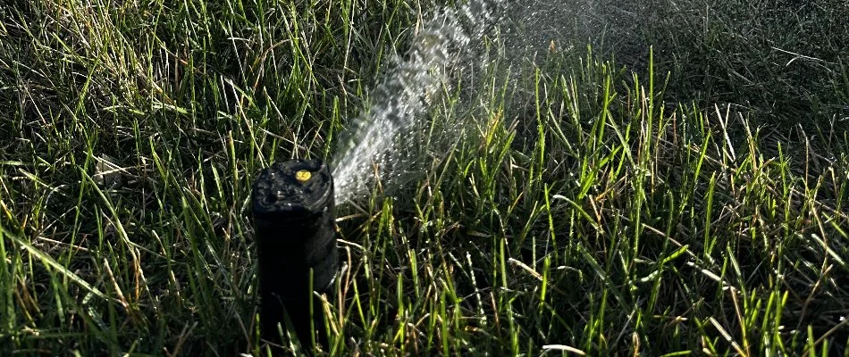 Grass in Avon, IA, with irrigation sprinkler head.
