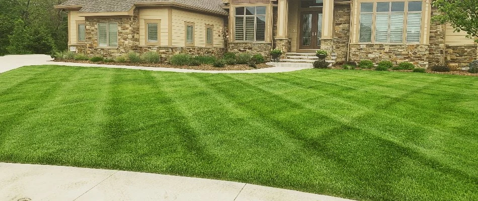 House in Waukee, IA, with a thick, green front lawn.