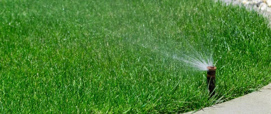 Grass in Crocker, IA, with irrigation sprinkler head.