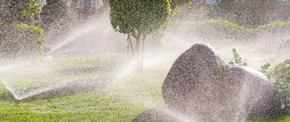 Irrigation sprinkler heads watering grass and shrubs in Lovington, IA.