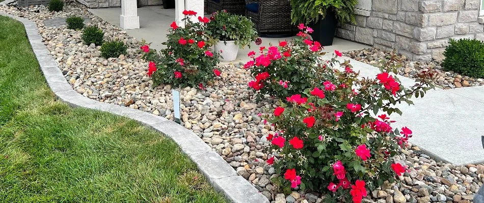 Landscaping with rocks and red flowers in Van Meter, IA.