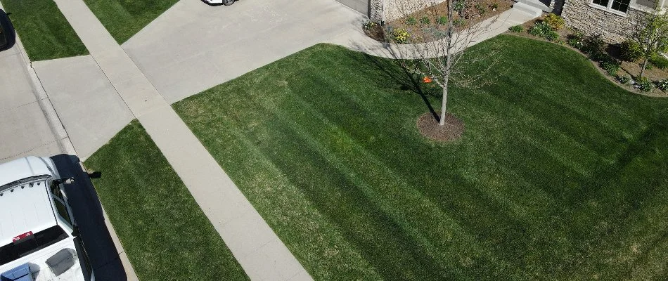 Recently-mowed lawn in front of residence in Windsor Heights, IA.