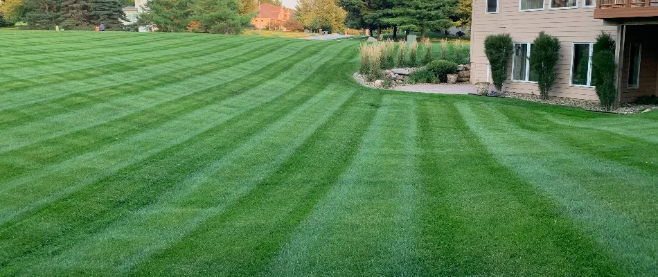 Lush lawn with striping in a backyard in Adel, IA.