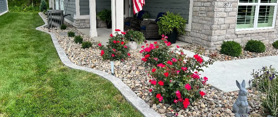 Red flowers in a landscape bed on a property in Waukee, IA.