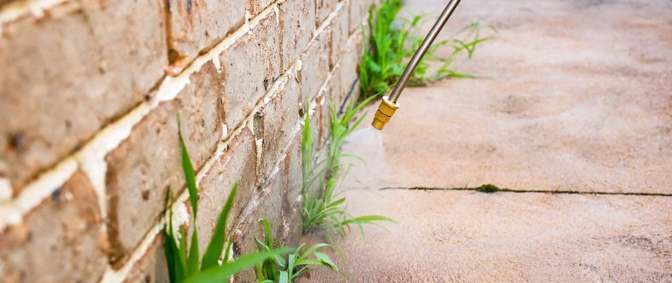 Spraying pest control treatment along the foundation of a house in Waukee, IA.