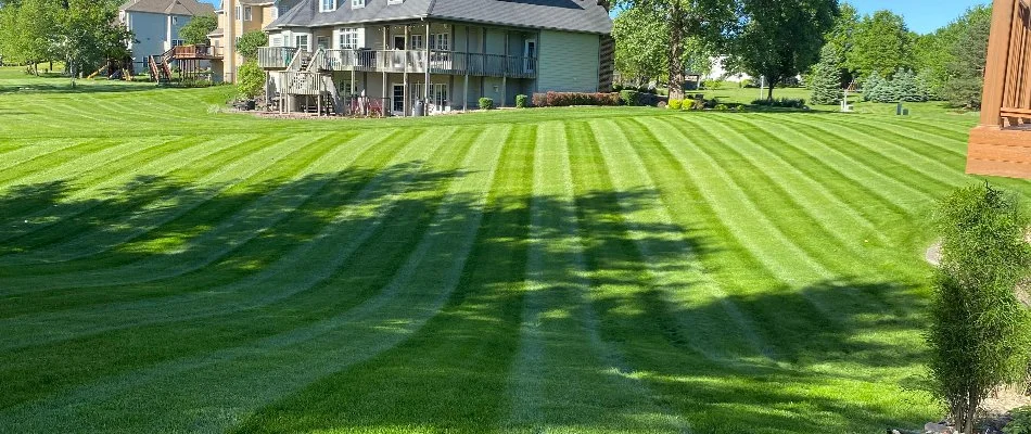 Weed-free, striped lawn in backyard.