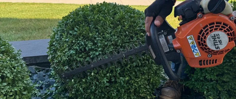 Trimming and pruning in Waukee, IA.
